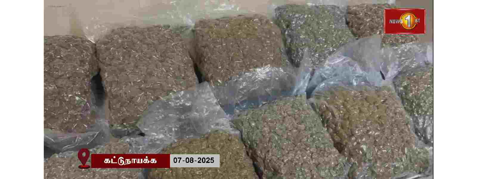 குஷ் போதைப்பொருளுடன் இந்திய பிரஜைகள் கைது